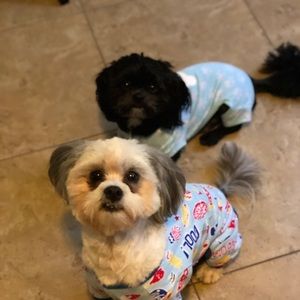 Meet your Posher, Itzel